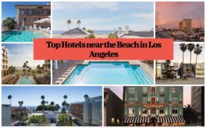 Top Hotels near the Beach in Los Angeles