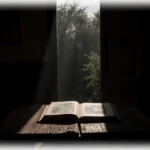 Forensic sketch lying open on leather book with rustic wooden table and dim sunlight peeking through doorway showing foliage.