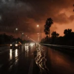 Cars moving slowly through rain-soaked Los Angeles highway at dusk with palm trees and orange glow