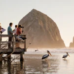 Bird enthusiasts scanning the bay at Morro Bay Bird Festival with binoculars and field guides near Morro Rock in warm morning
