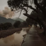 Mudflow meandering down a tree-lined sidewalk with ancient oak tree and smoke-stained hills in background