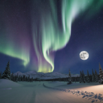Aurora borealis illuminates night sky with green tendrils over snow‑covered trees and a full moon