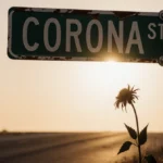 A weathered Corona street sign leans above a wilted flower with golden light casting long shadows across the pavement
