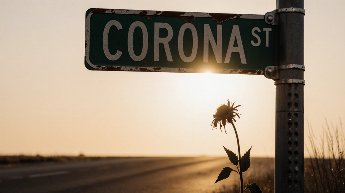 A weathered Corona street sign leans above a wilted flower with golden light casting long shadows across the pavement