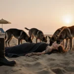 Young woman lies face-down on beach sand with wild dogs gathering near police boots at dawn