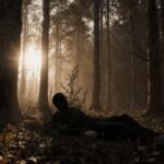 Dark shape lying on forest floor with golden dusk light filtering through tall trees and hidden shadows