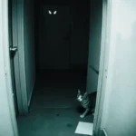 Woman Discovers Mother-in-Law’s Secret Home Invasion While on Holiday