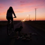 Kansas Boy, 13, Dies From Dog Bites; Neighbor Faces Two-State Charges