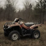 Teen Girl & Man Die in Tasmania ATV Crash