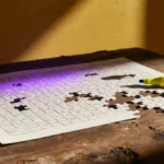 NYT Connections Jan 7: Purple Stumps Players