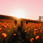 Antelope Valley Poppy Reserve Eyes Strong 2026 Bloom, Seeks Volunteers