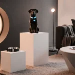 CES 2026 Pet Tech: AI Collars & Smart Doors Win Big