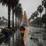 Person walking down rainy streets in Los Angeles with umbrella near flooded flowerbeds and a submerged Christmas tree.