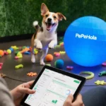 Play With Your Dog From Anywhere With This Smart Ball
