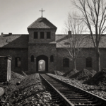 Message box apologizing with friendly offer to help with other topics