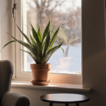 Lush potted plant reaching toward warm sunlight on a windowsill with a cozy armchair and side table nearby.