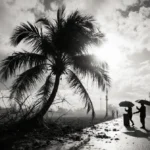 Santa Ana Winds Return to Southern California