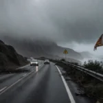 Coastal road winds along wet asphalt with overgrown guardrail and fog rolling from ocean