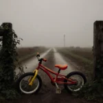 Toy bicycle leaning against wooden fence with vines and misty road behind