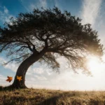 Tree bends in strong wind with golden sunlight illuminating leaves and long shadows on ground